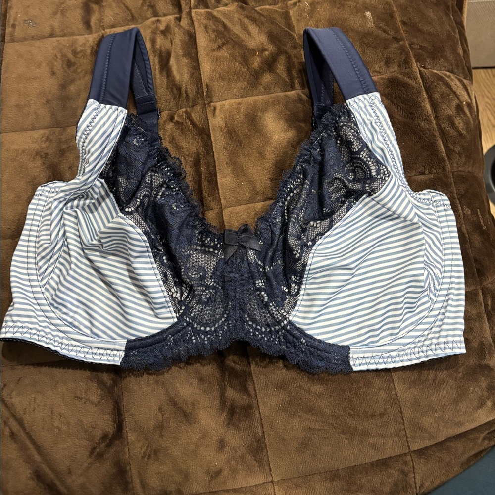 Curve Muse Stripped wired thick strap Blue lace detailing bra 38 DD no padding